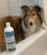 Scented Pet Soap Free Shampoo